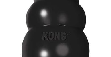 Kong extreme