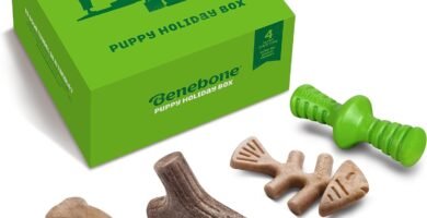 Benebone Puppy Holiday - Paquete de 4 juguetes masticables para perros