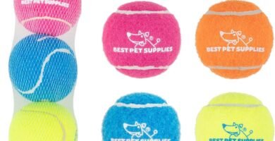 est Pet Supplies Juguetes de tenis chirriantes para perros, paquete de 4, juguetes interactivos de alta resistencia para lanzar y buscar, apoya el...