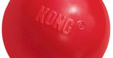 Kong Ball Dog Toy. Pelotas para perros de caucho. Pelotas Interactivas