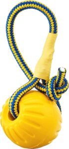 Dog Balls on Ropes - StarMark Dog Toy - Foam Ball on a Rope - Medium - Gold & Yellow