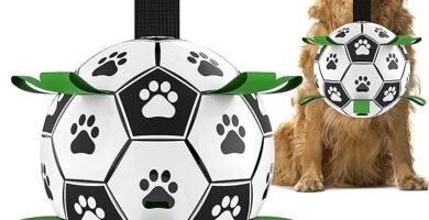 Pelotas para perros. Pelota de fútbol interactiva para perros, Pelota con cuerda, juguete de tirar para perros, juguete de agua para perros, bolas duraderas para perros medianos y grandes, (8 pulgadas)