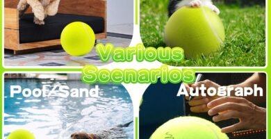 Pelotas para perros, de tenis gigante para perros de 9.5 pulgadas, juguetes grandes para mascotas, juguetes divertidos para deportes al aire libre, regalo con agujas de inflado