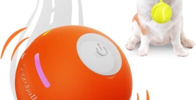 PetDroid Juguetes interactivos de pelota para perro, juguetes de bola rodante automático duraderos activados por movimiento para cachorros/perros pequeños