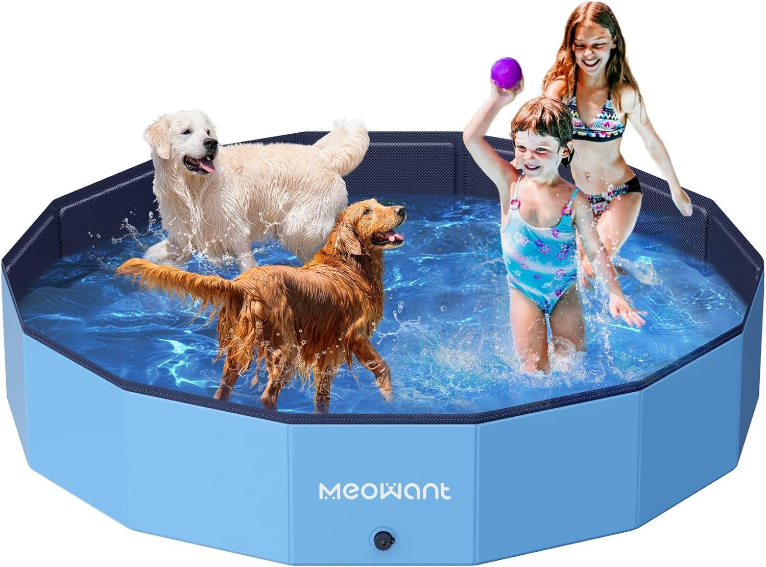 Piscina para Labrador Retriever