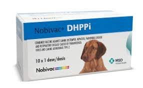 Nobivac DHPPi