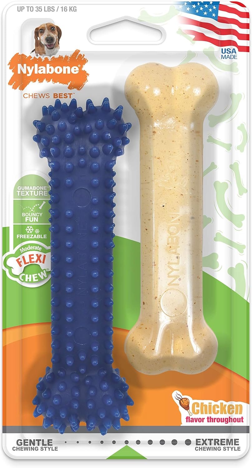 Nylabone Dental Chew Kit