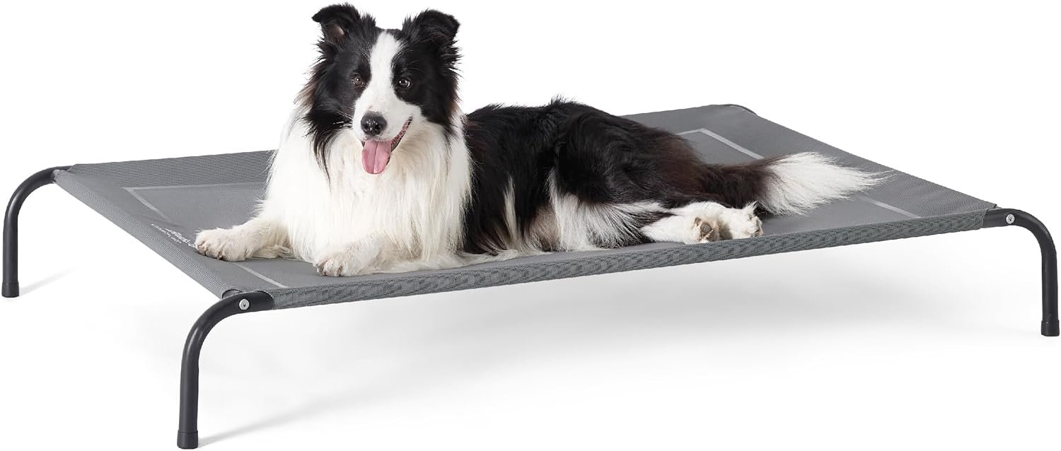 Cooling elevated dog beds. dog accessories