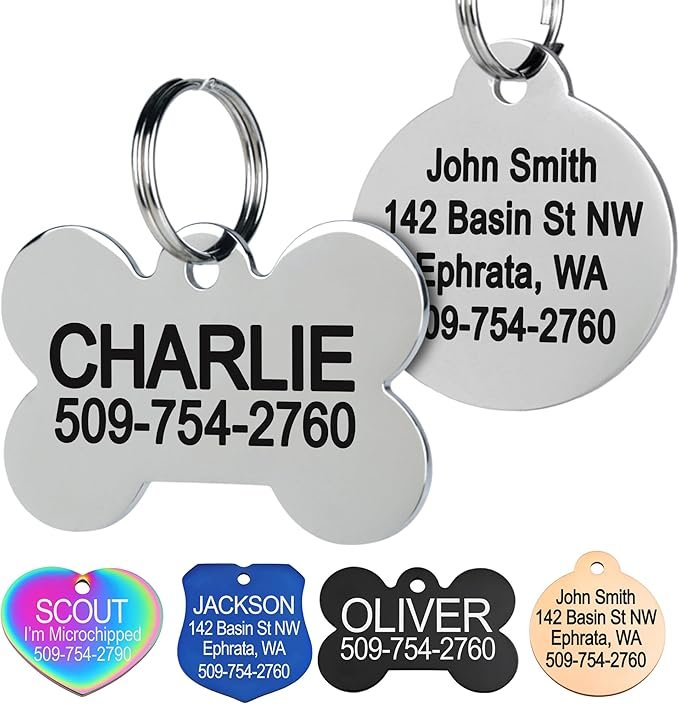 Dog Accessories. GoTags Stainless Steel Pet ID Tags.